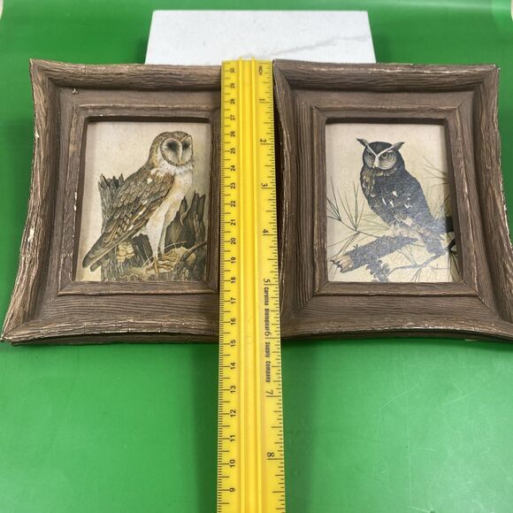 VTG MCM Pair Of Owl Prints 1970’s Rambow Rustic Wall Art Bird Halloween Decor - Picture 9 of 10